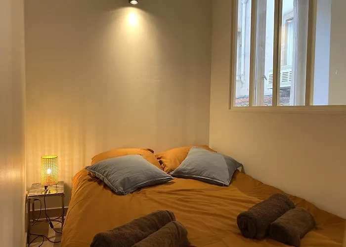 Le Saint-georges, Bnbconciergerie Lyon